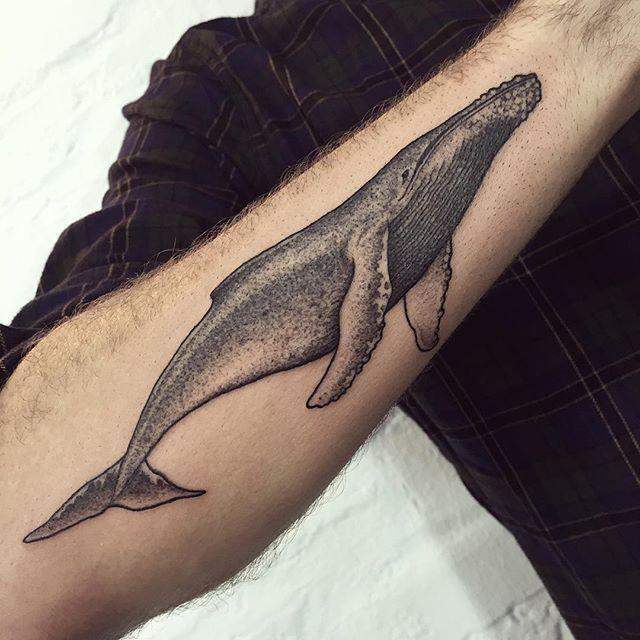 tatouage baleine 23
