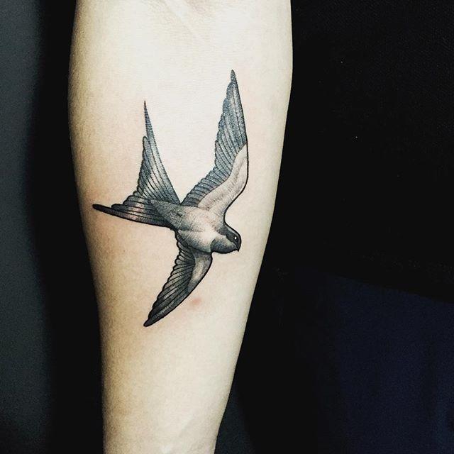 tatouage hirondelle 19