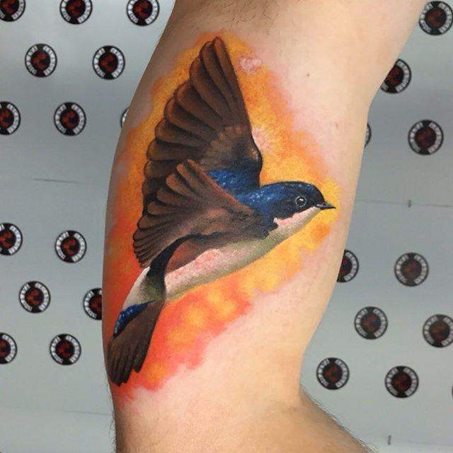 tatouage hirondelle 37