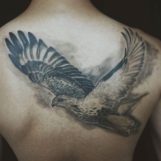 tatouage aigle 89