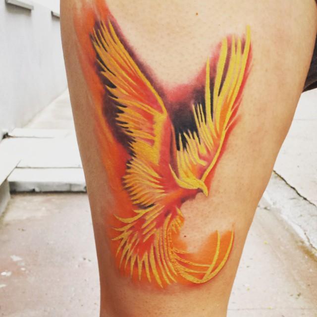 tatouage fenix 81