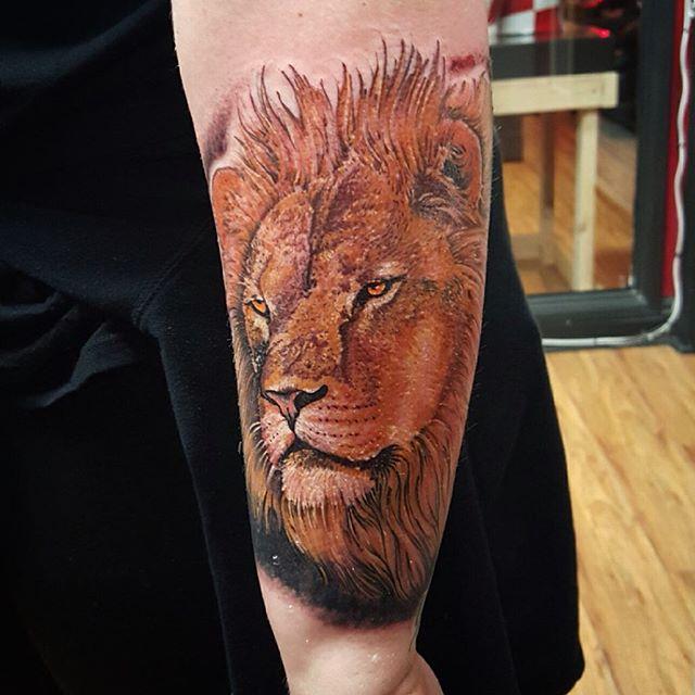 tatouage lion 13