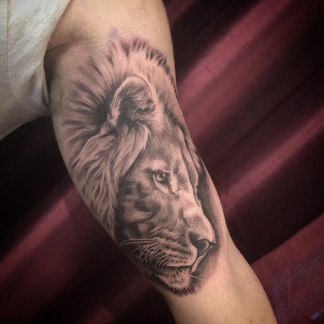 Collection de 58 tatouages de lions courageux