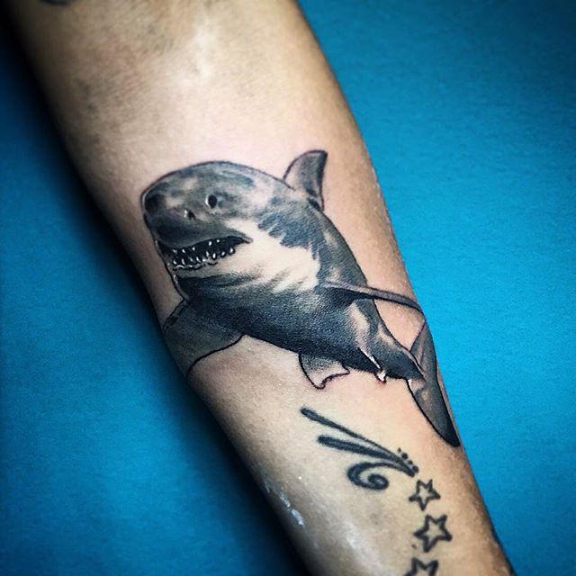 tatouage requin 73