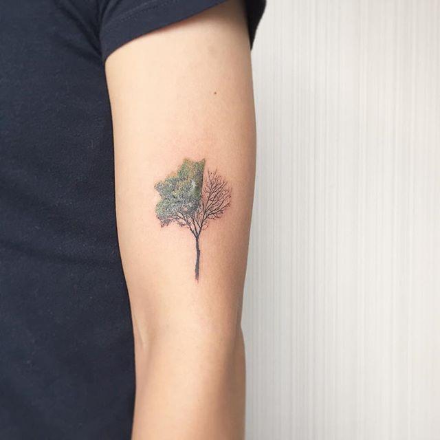 Tatouages d'arbre (pour les FEMMES) : 90 dessins HD