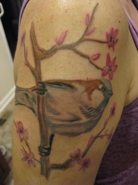 60 Tatouages de moineaux et d'autres oiseaux : Galerie