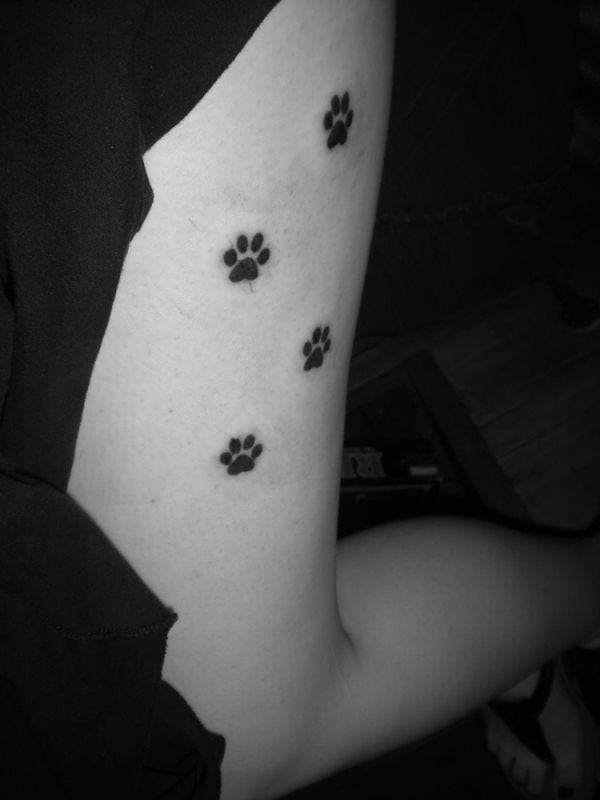 tatouage empreinte chien 153