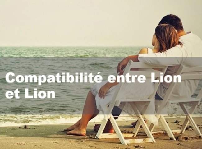 Compatibilite entre Lion et Lion