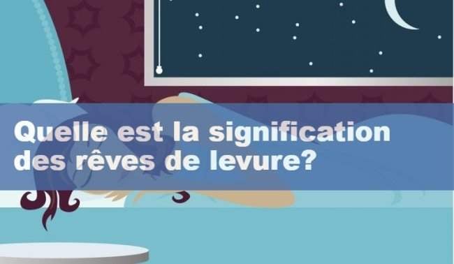 Quelle est la signification des reves de levure 