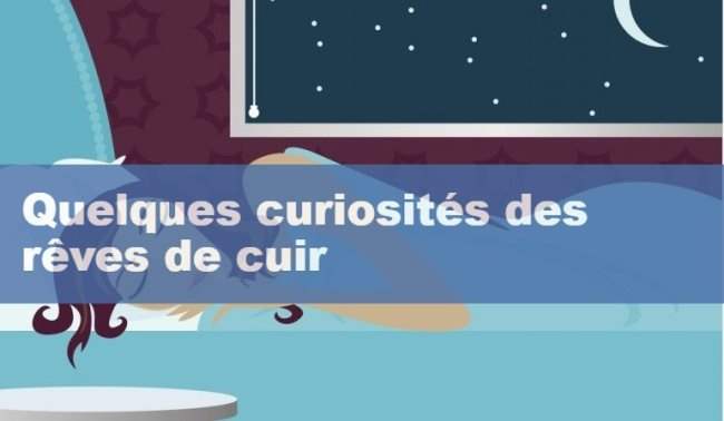 Quelques curiosites des reves de cuir