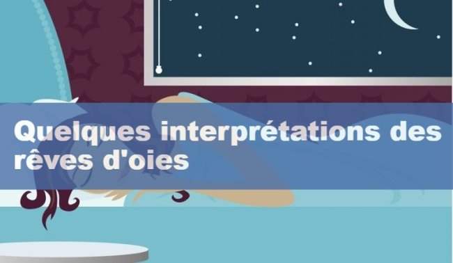 Quelques interpretations des reves d oies