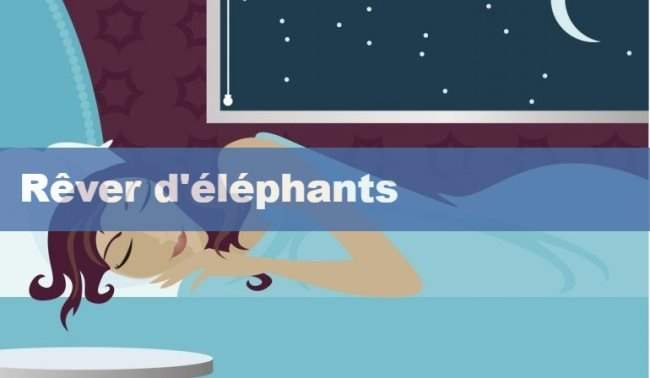 Rêver d'éléphants : qu'est-ce que ça signifie ?