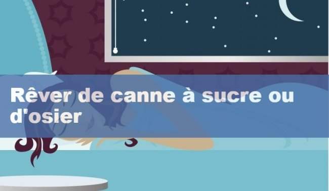 Que signifie rêver de canne à sucre ou d'osier ?