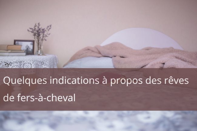 Quelques indications à propos des rêves de fers-à-cheval