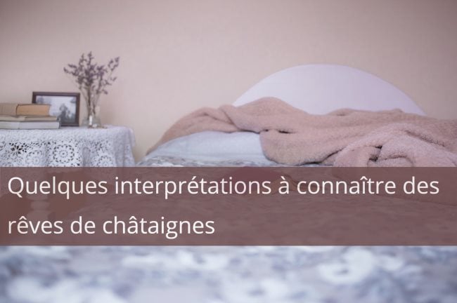 Quelques interprétations à connaître des rêves de châtaignes