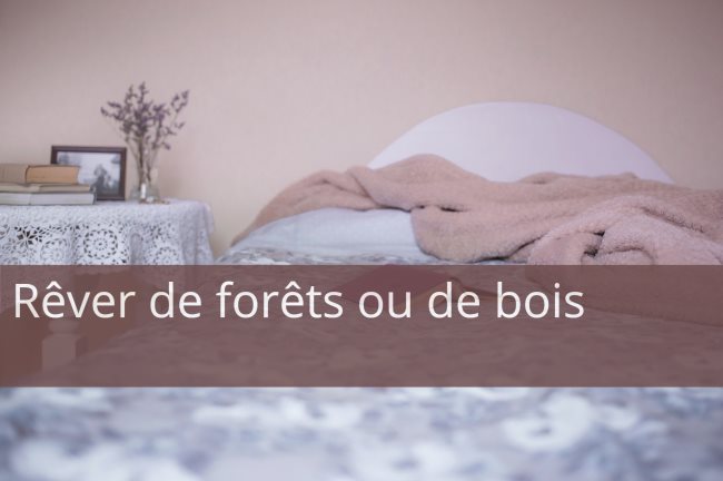 Que signifie rêver de forêts ou de bois ?