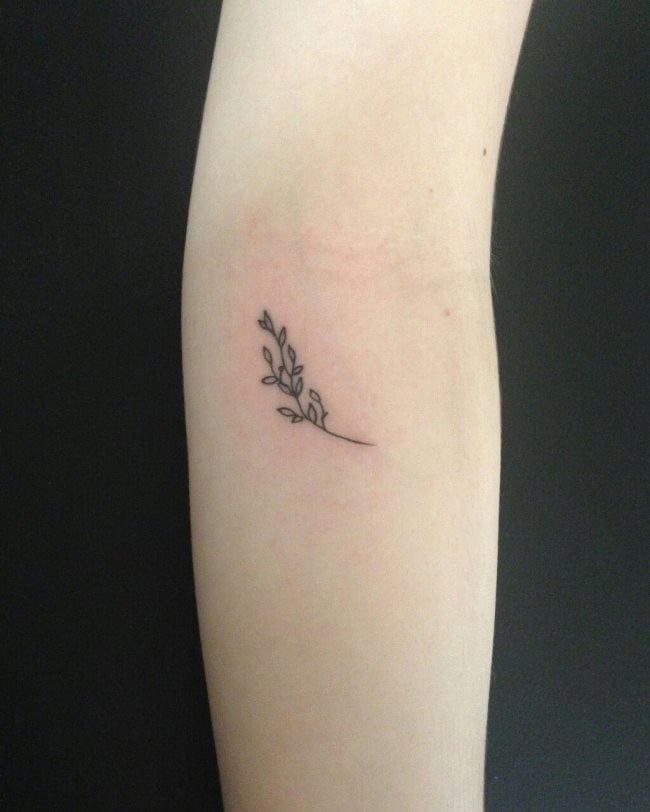 tatouage rameau d'olivier138