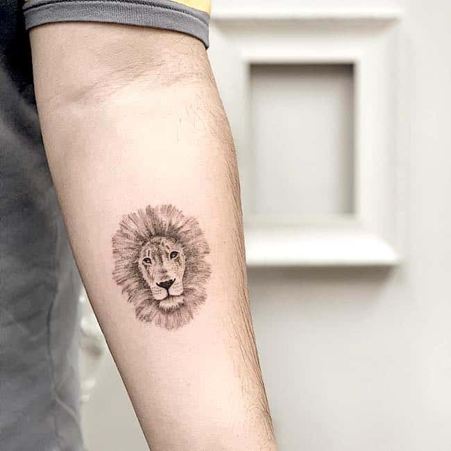 tatouage lion 57