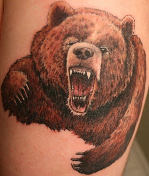 bear