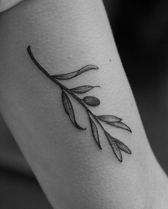 tattoo feuille 34