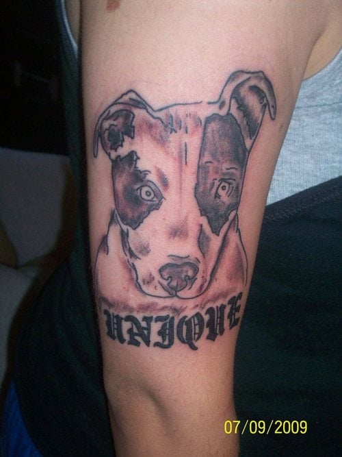 208 tatouage chien
