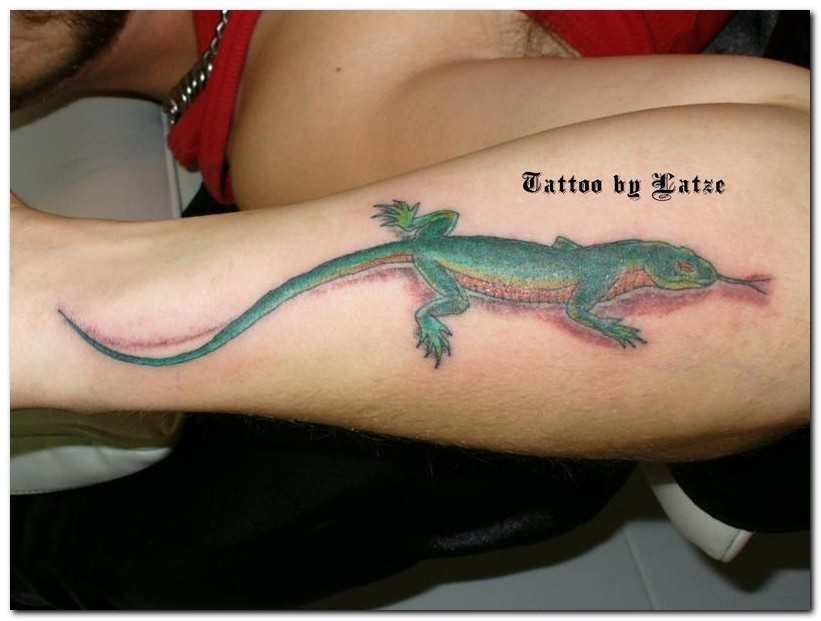 geco-tatuaggio-127