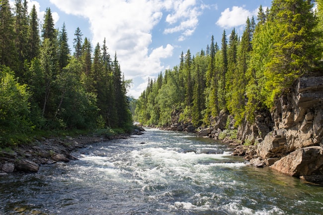 Cosa significa sognare un fiume?