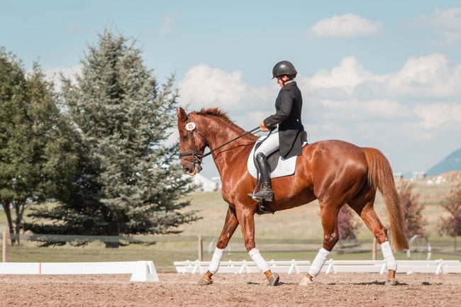 Che significa sognare un cavallo o di andare a cavallo?