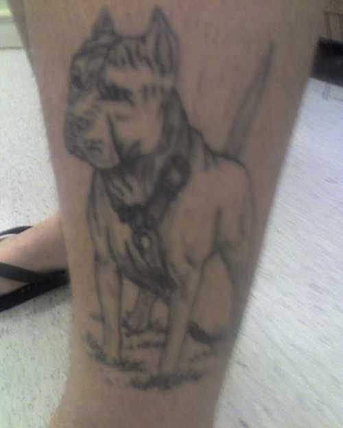 202 tatuaggio cane