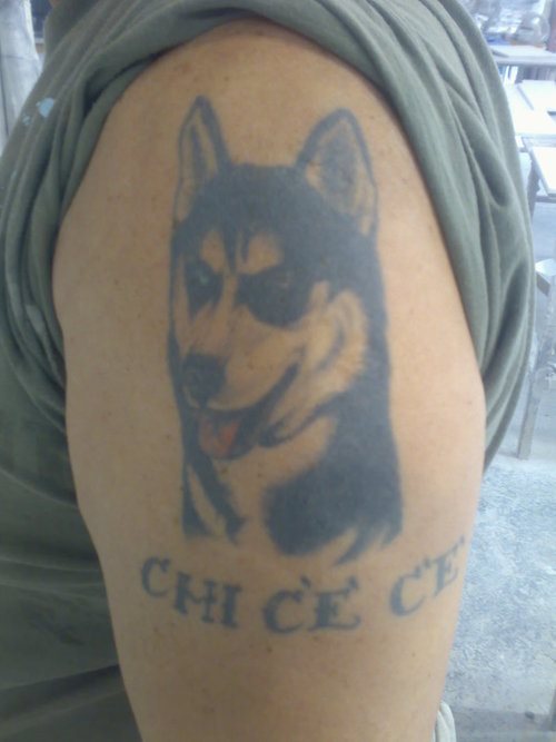 212 tatuaggio cane