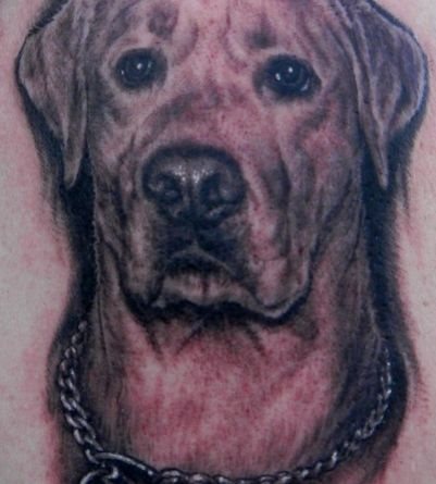 217 tatuaggio cane