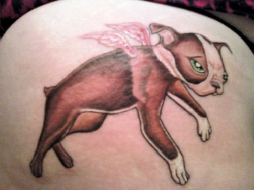 218 tatuaggio cane