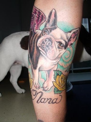 223 tatuaggio cane