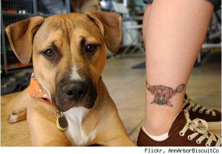 233 tatuaggio cane