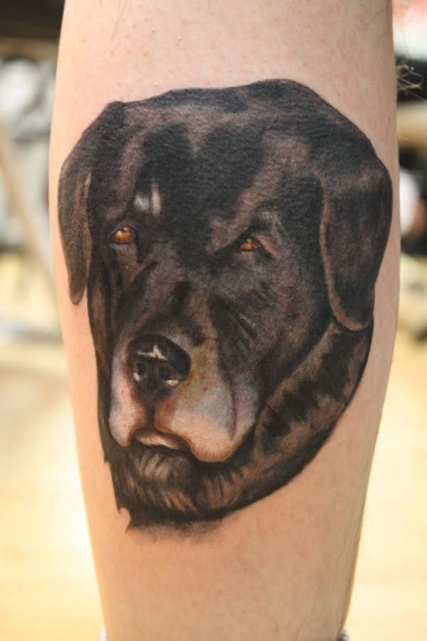 235 tatuaggio cane