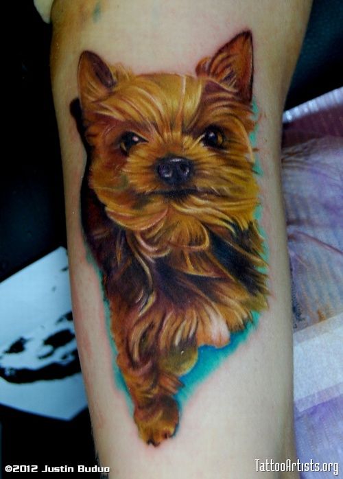 241 tatuaggio cane