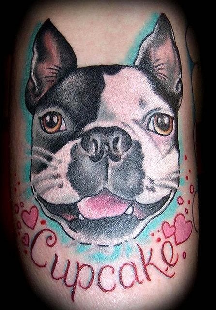 248 tatuaggio cane