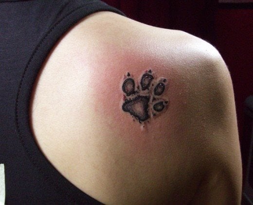 252 tatuaggio cane