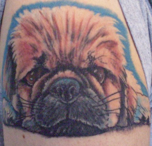 255 tatuaggio cane