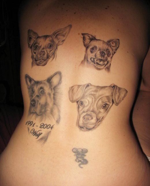 257 tatuaggio cane