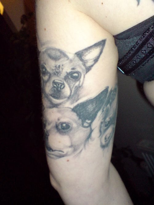 259 tatuaggio cane