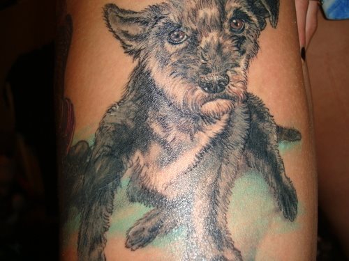 261 tatuaggio cane