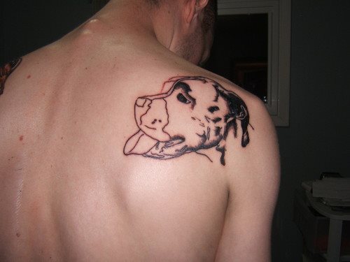 263 tatuaggio cane