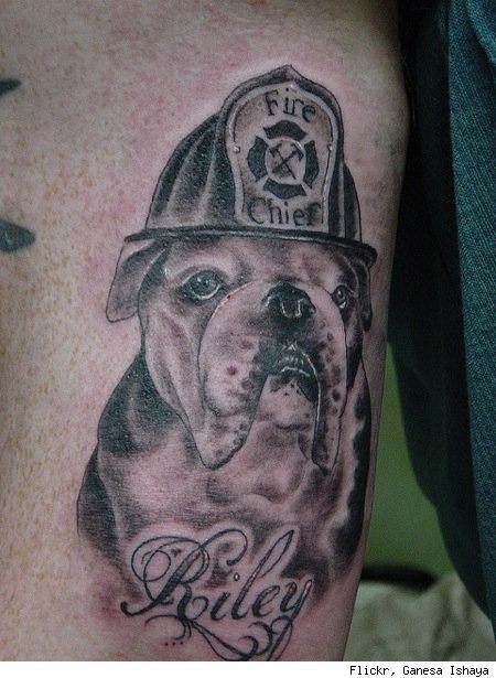 tatuaggio cane 47