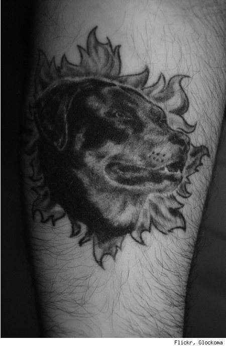 tatuaggio cane 50