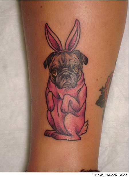 tatuaggio cane 63