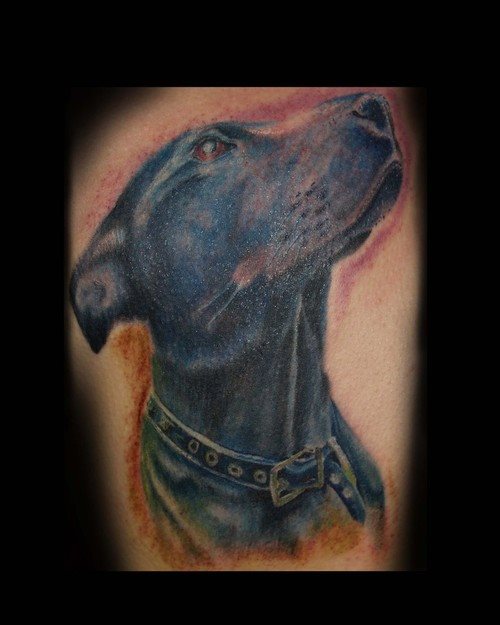 tatuaggio cane 75