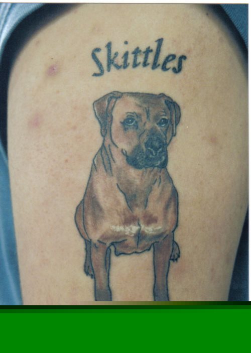 tatuaggio cane 91