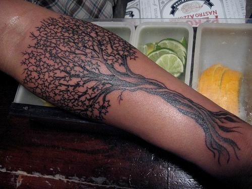 tatuaggio albero 541