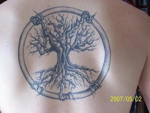 tatuaggio albero 546